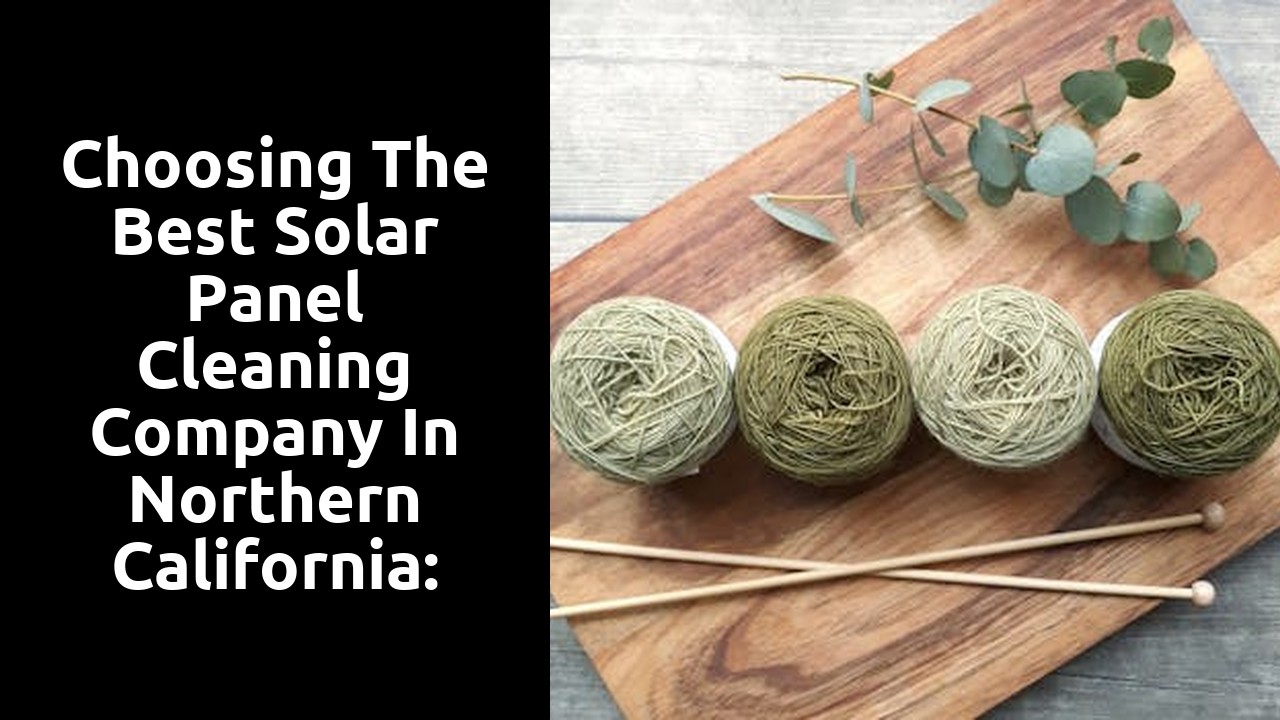 Choosing the Best Solar Panel Cleaning Company in Northern California: What You Need to Know